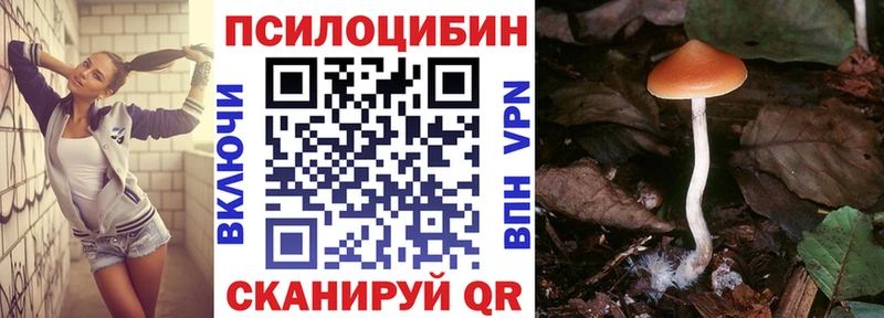 Купить закладки  Тутаев  Галлюциногенные грибы Psilocybe 